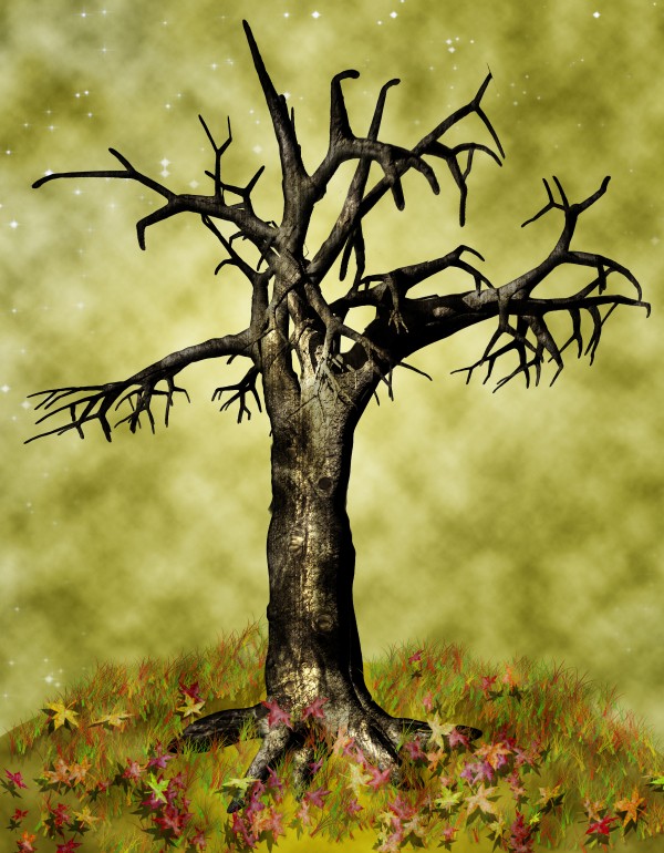 Leafless Maple Tree Print