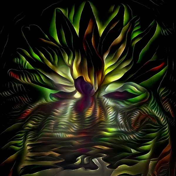 Lotus Flower Print