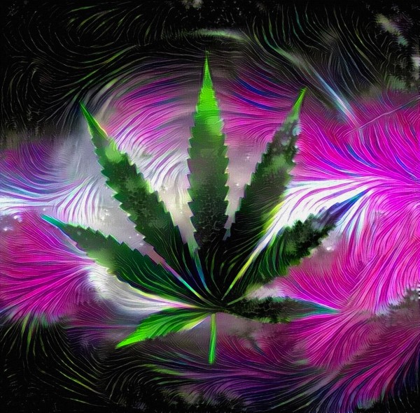 Marijuana Leaf Print