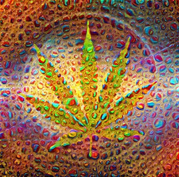 Marijuana Leaf Print