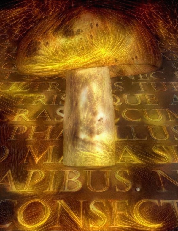 Mushroom with Text Print