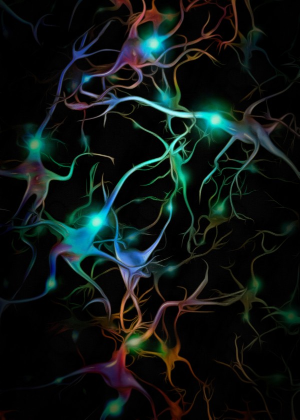 Neurons Network Print