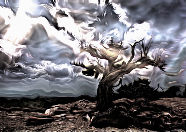 Old Tree Imprimer