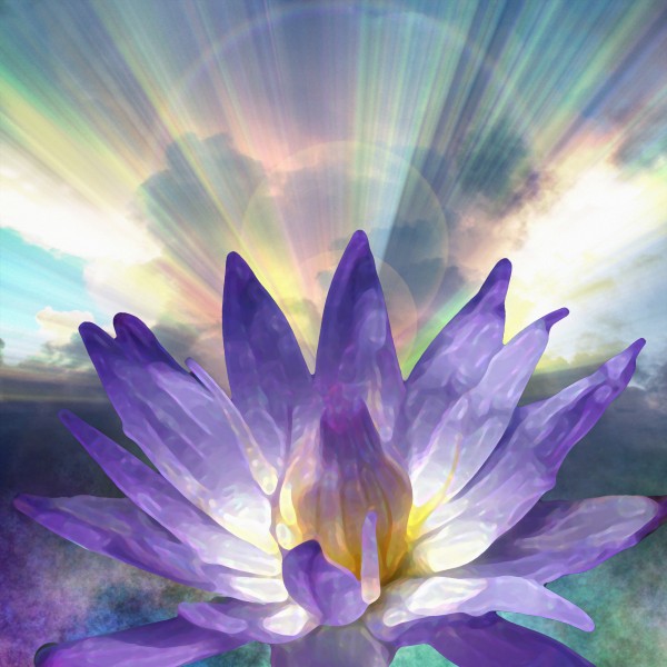 Purple Lotus Print