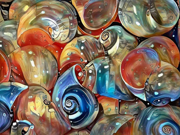 Seashell Colorful Pattern Print