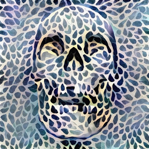 Skull Pattern Print
