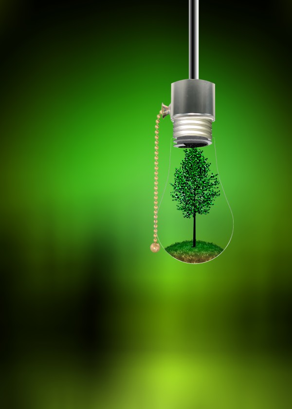 Tree in Hanging Bulb Print