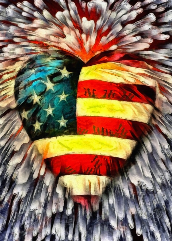 USA Heart Print