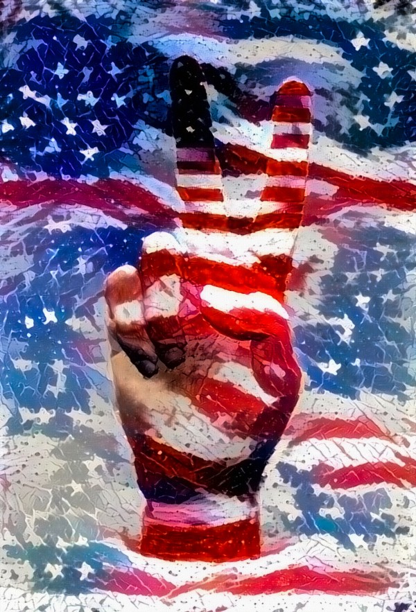 USA Peace Sign Print
