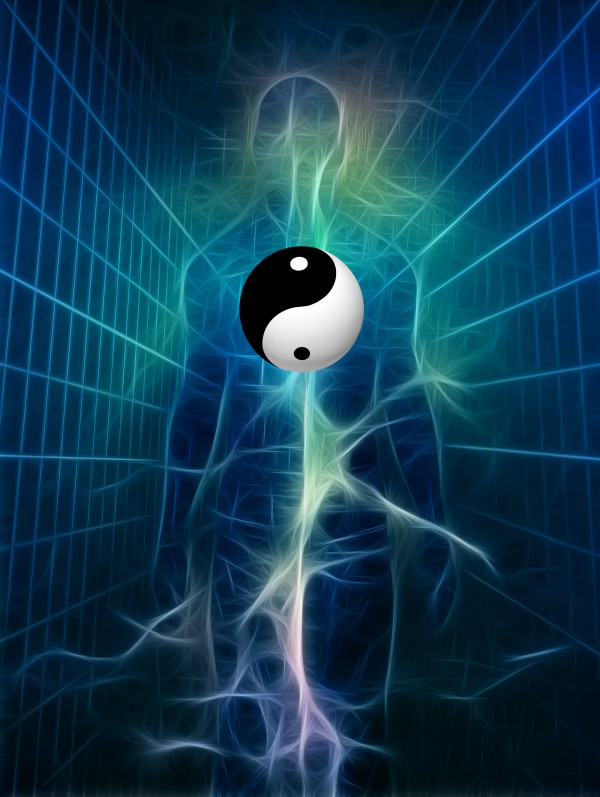 Yin Yang Human Print