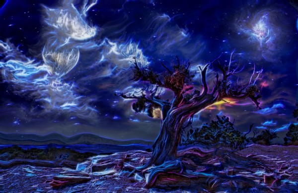 Night Landscape Print