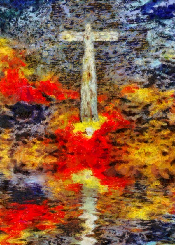 Cross Print