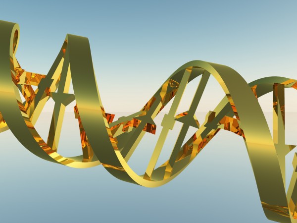 DNA Strand Print