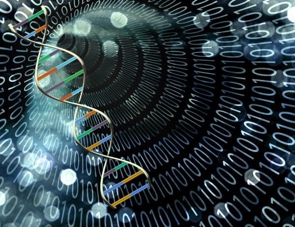 DNA binary code Print