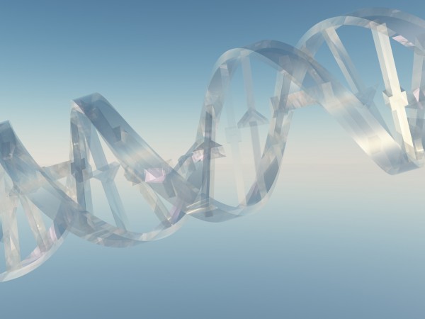 DNA Strand Print