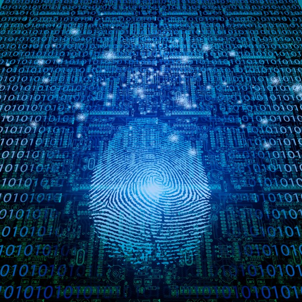 Digital Fingerprint by Bruce Rolff