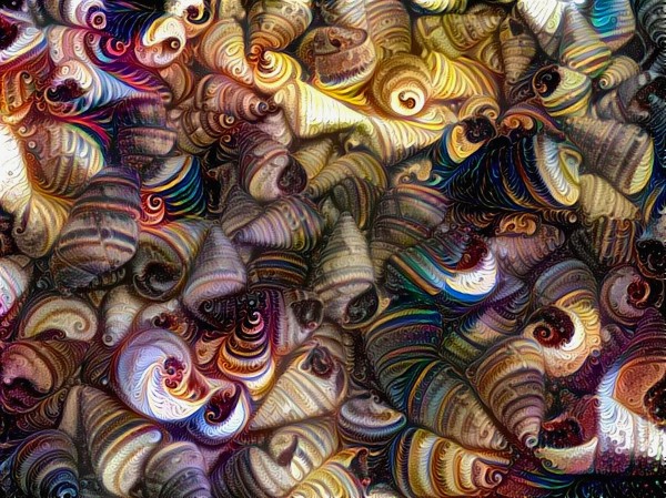 Seashell Colorful Pattern Print