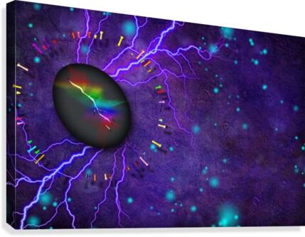 Rock Canvas Print
