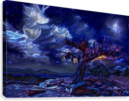 Night Landscape Canvas Print