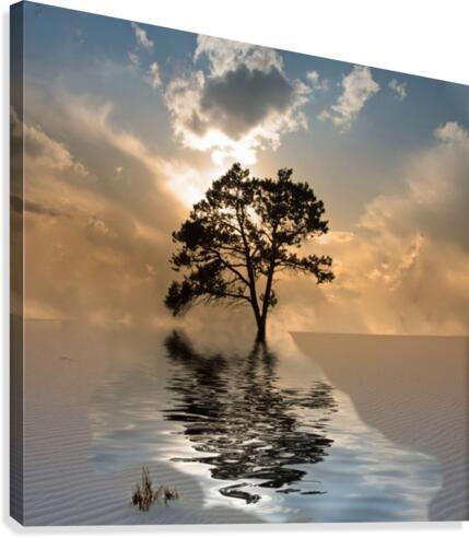 Desert Tree Canvas Print