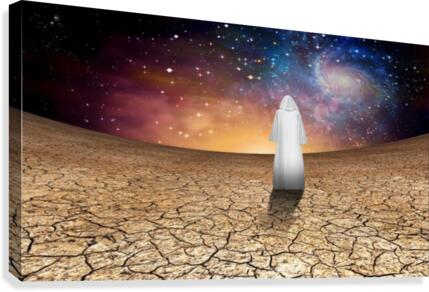 White Pilgrim Canvas Print