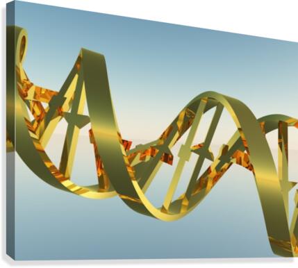 DNA Strand Canvas Print