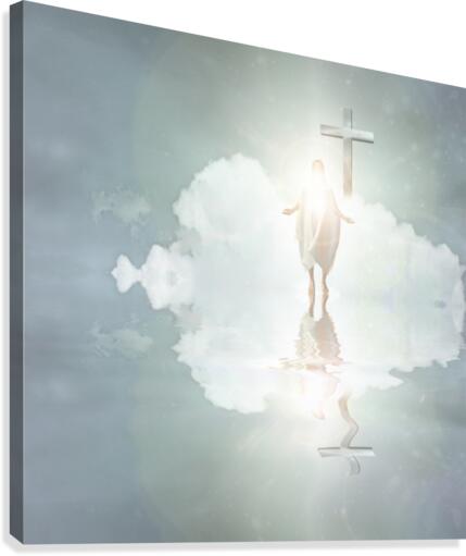 Vision Canvas Print