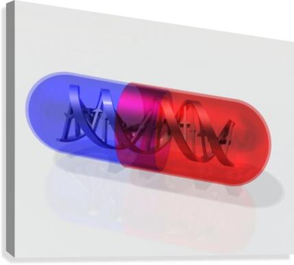 DNA Capsule Canvas Print