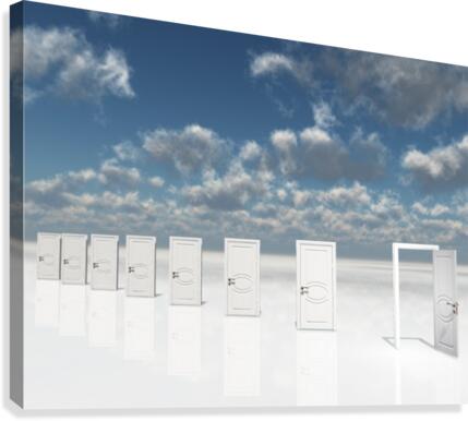 Doors Canvas Print