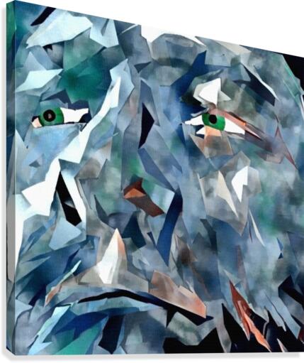 Wise Man Face Canvas Print