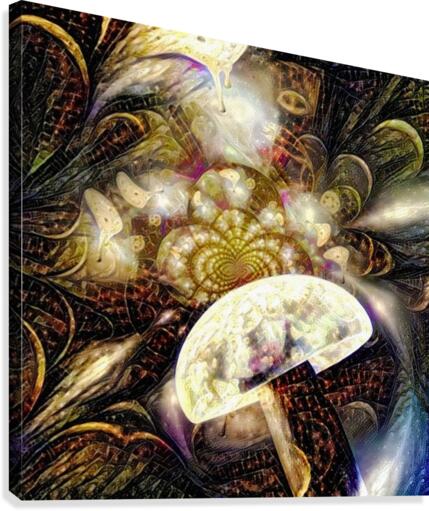 Time Illusion Canvas Print