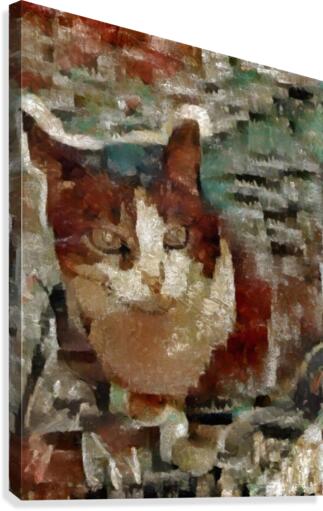 Cat Canvas Print