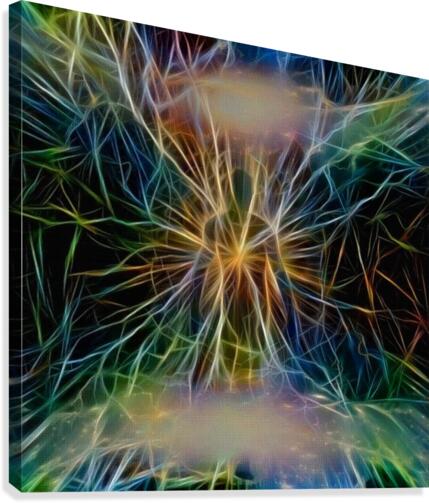 Soul Canvas Print