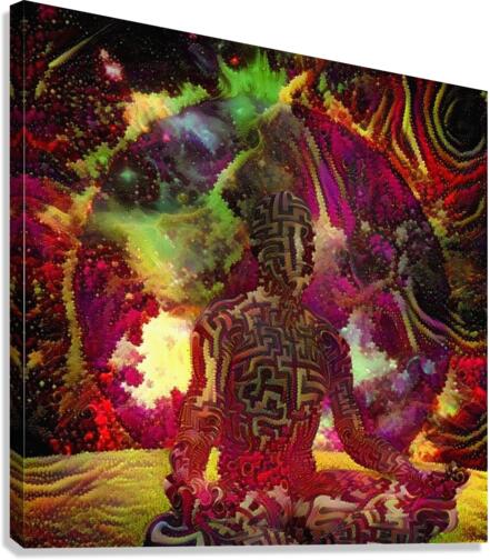 Balance Canvas Print