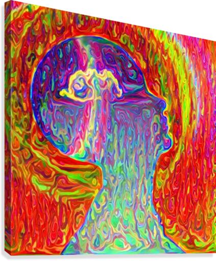 Vivid Mind Canvas Print