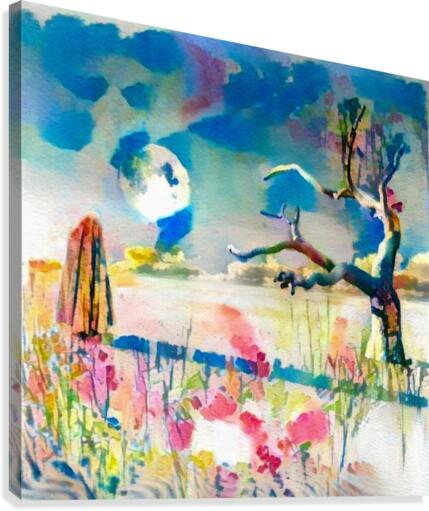 Planet Zen Canvas Print
