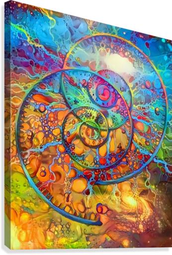 Time Spirals Canvas Print