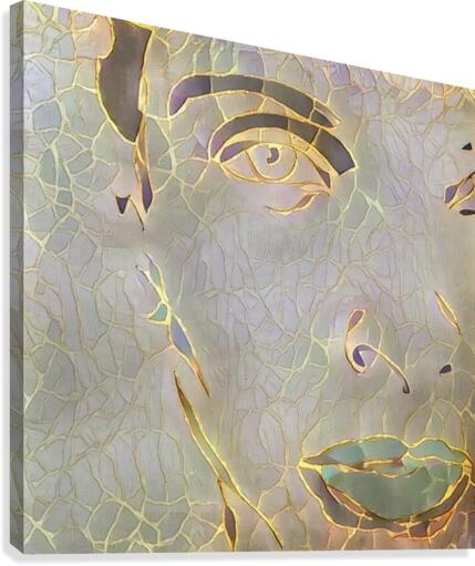 Womans Face Canvas Print