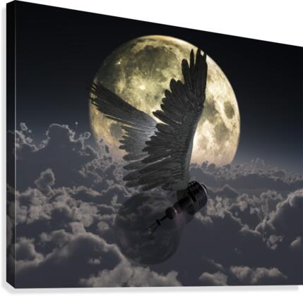 Flying Idea Canvas Print