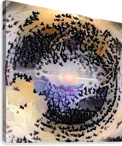 Eye Canvas Print