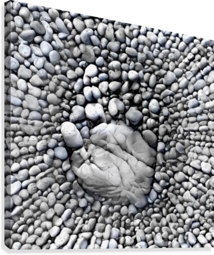 Stone Hand Canvas Print