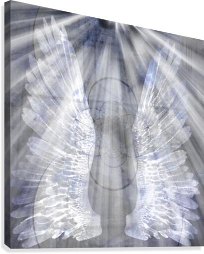 Angel Wings Canvas Print