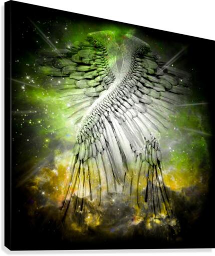 Angel Wings Canvas Print
