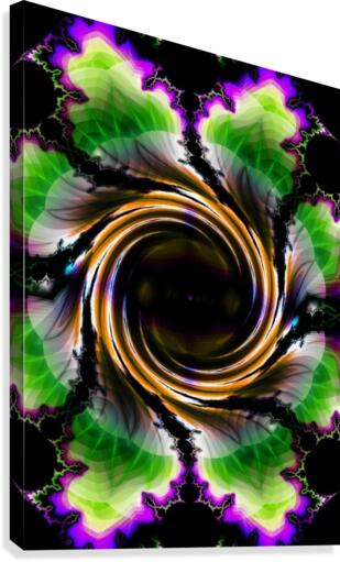 Vortex Canvas Print