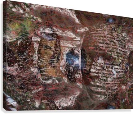 Faces Canvas Print
