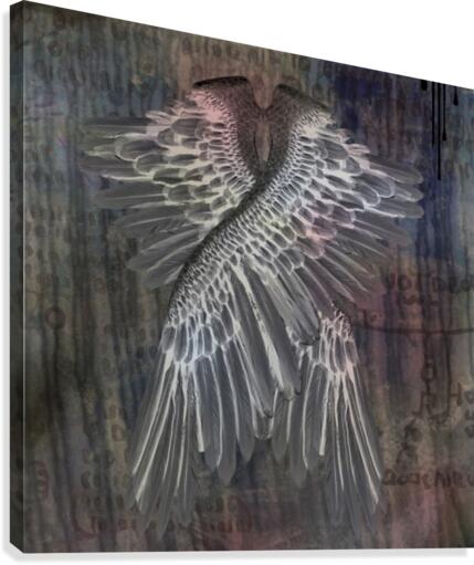 Angel Wings Canvas Print