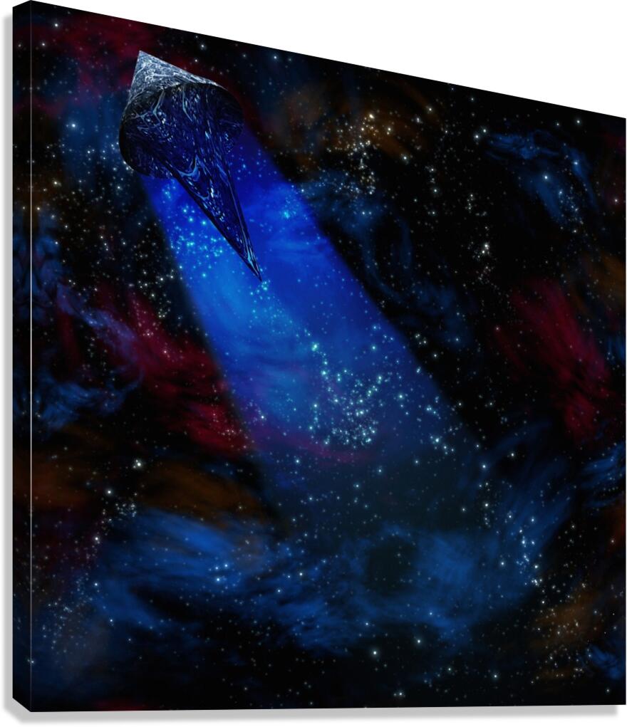 Space Vessel Canvas Print