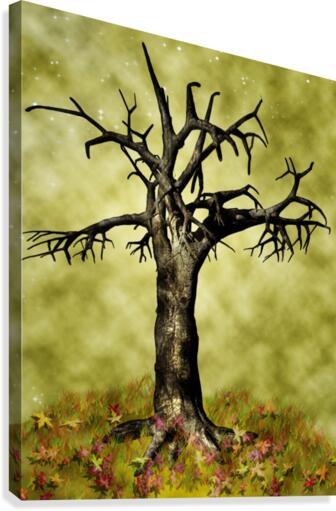 Leafless Maple Tree Canvas Print