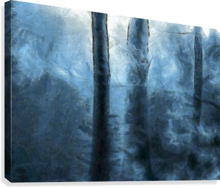 Blue Forest Canvas Print