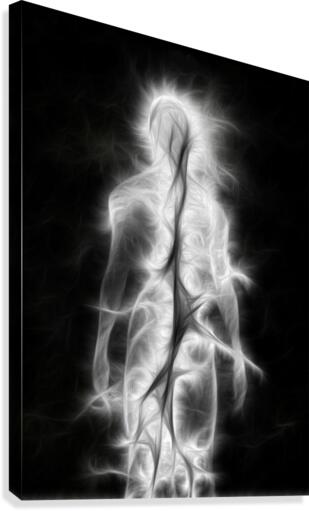 Soul Canvas Print